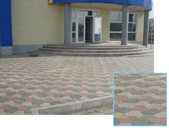 06.jpg